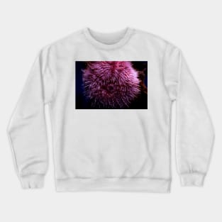 Pink Sea Urchin Crewneck Sweatshirt